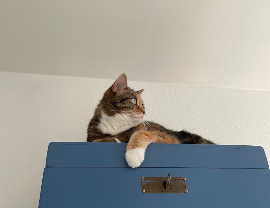 Photo personal AI assistant